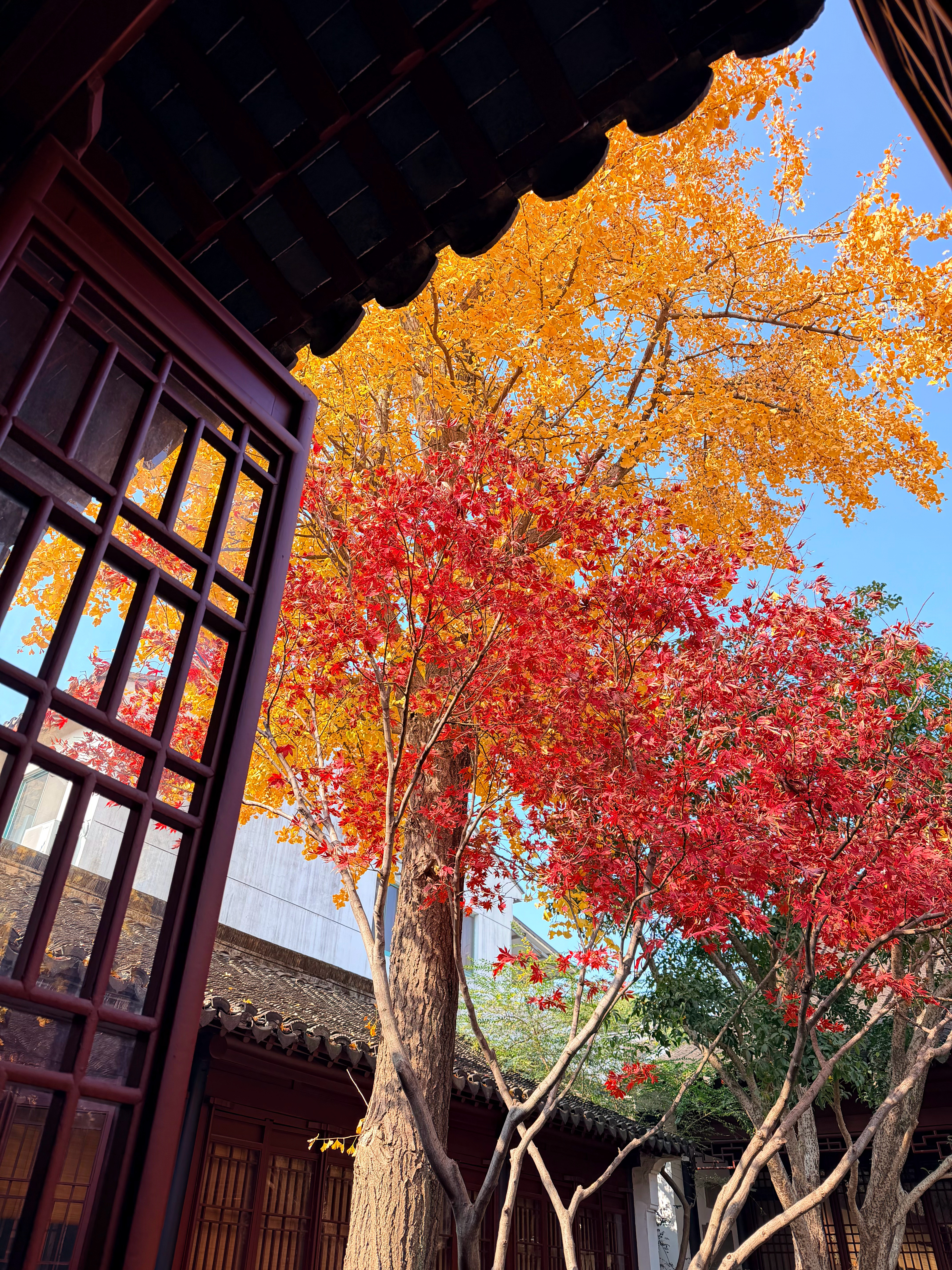 周一坏坏！！感觉去苏州比去上班还近😭