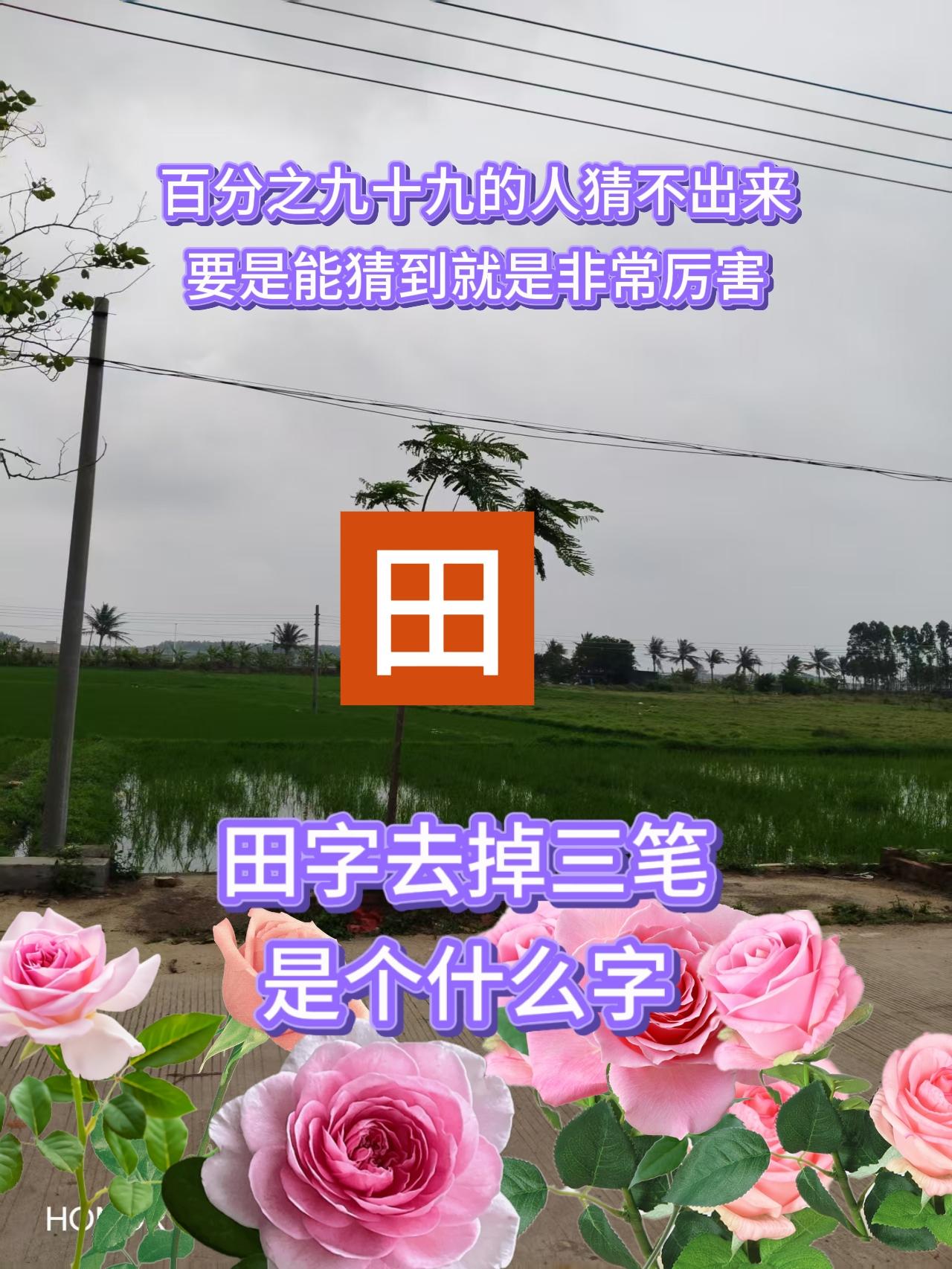 种田小知识猜字涨知识脑筋急转弯