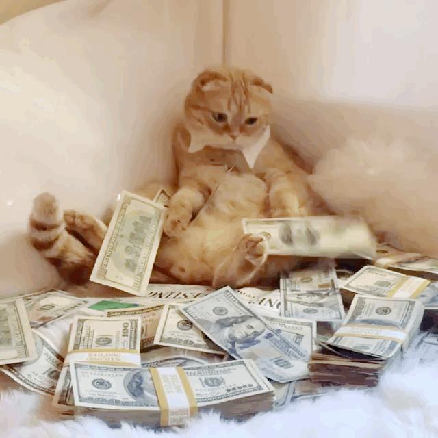 转赞，招财猫，财运飙升，大吉大利，好运福气多多！