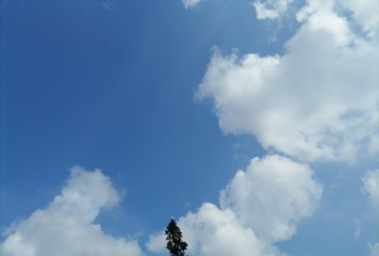 以河北开头的大学，有一所不在河北省，你知道是哪一所吗？以河北开头的大学，根据不