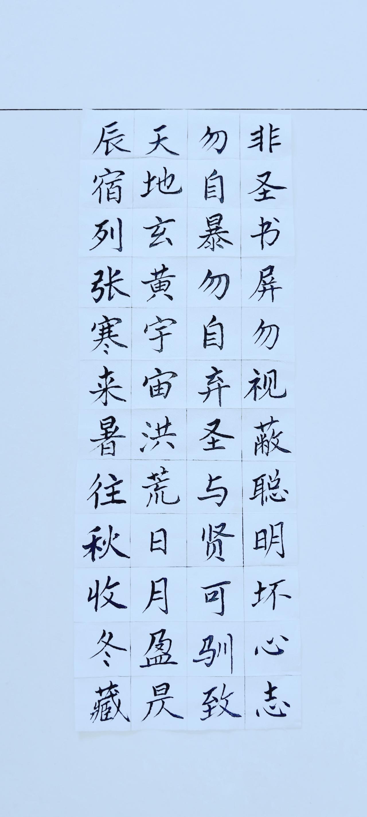 第四十六天《弟子规》（23），《千字文》（1）正楷毛笔练习！练千字文弟子规书法