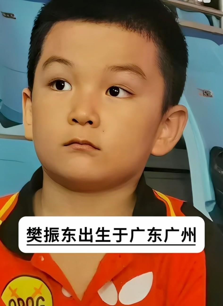 樊振东从小就勤奋好学，聪明伶俐，天资聪慧。长大后的樊振东，足技好，颜值高，球商更