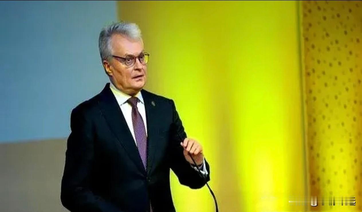 不道歉、不纠错、不切割”！立陶宛三不态度摊牌，中方底线被无视？立陶宛总统瑙塞