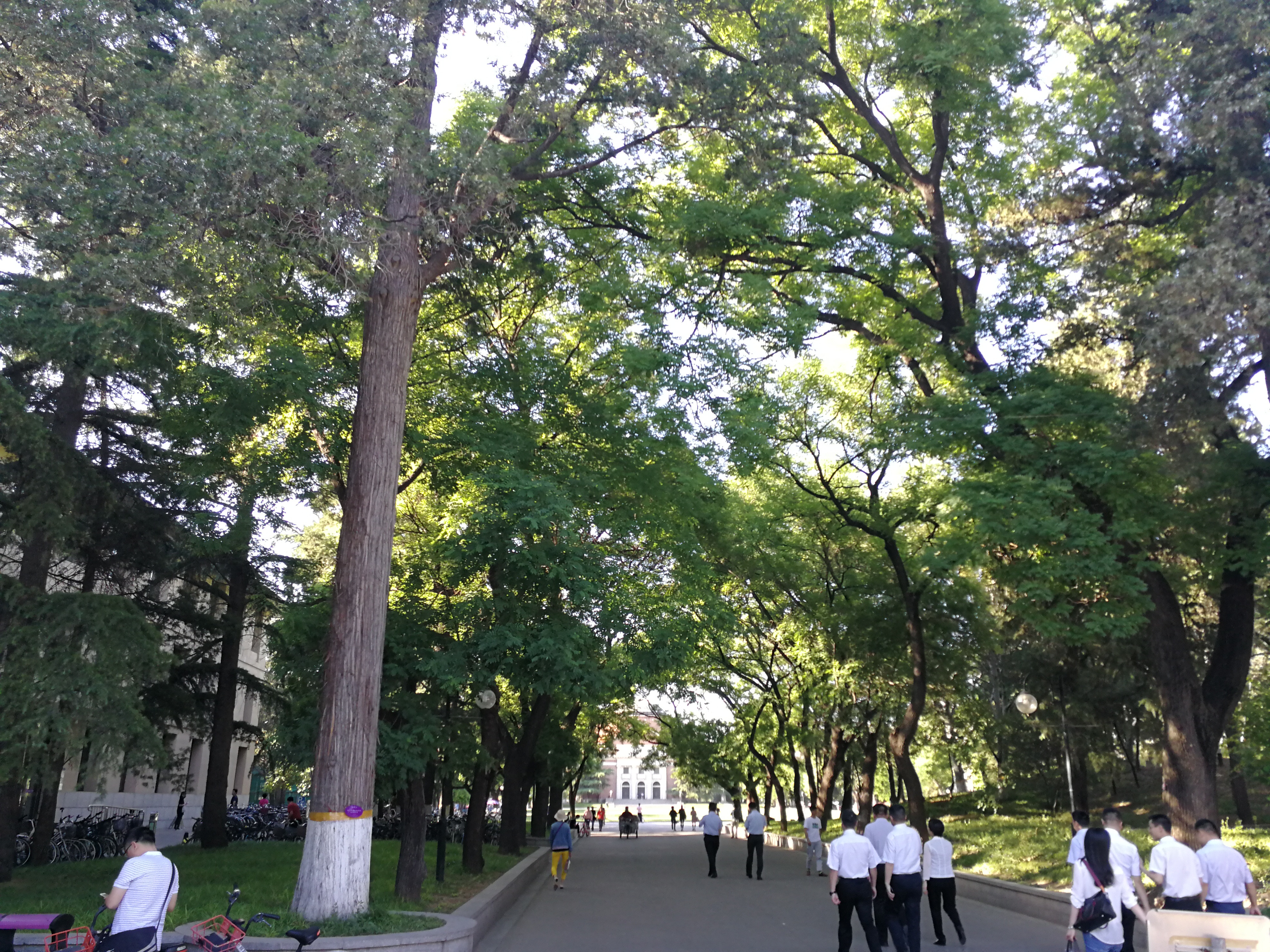 #清华回应女教授被树砸身亡#人生无常，一路走好！希望清华大学不要推卸责任，勇于