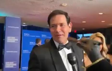 【😂侮辱喜剧狗凯旋对马可·卢比奥说：“怎么了，部长先生？怕一条小狗吗？告诉我