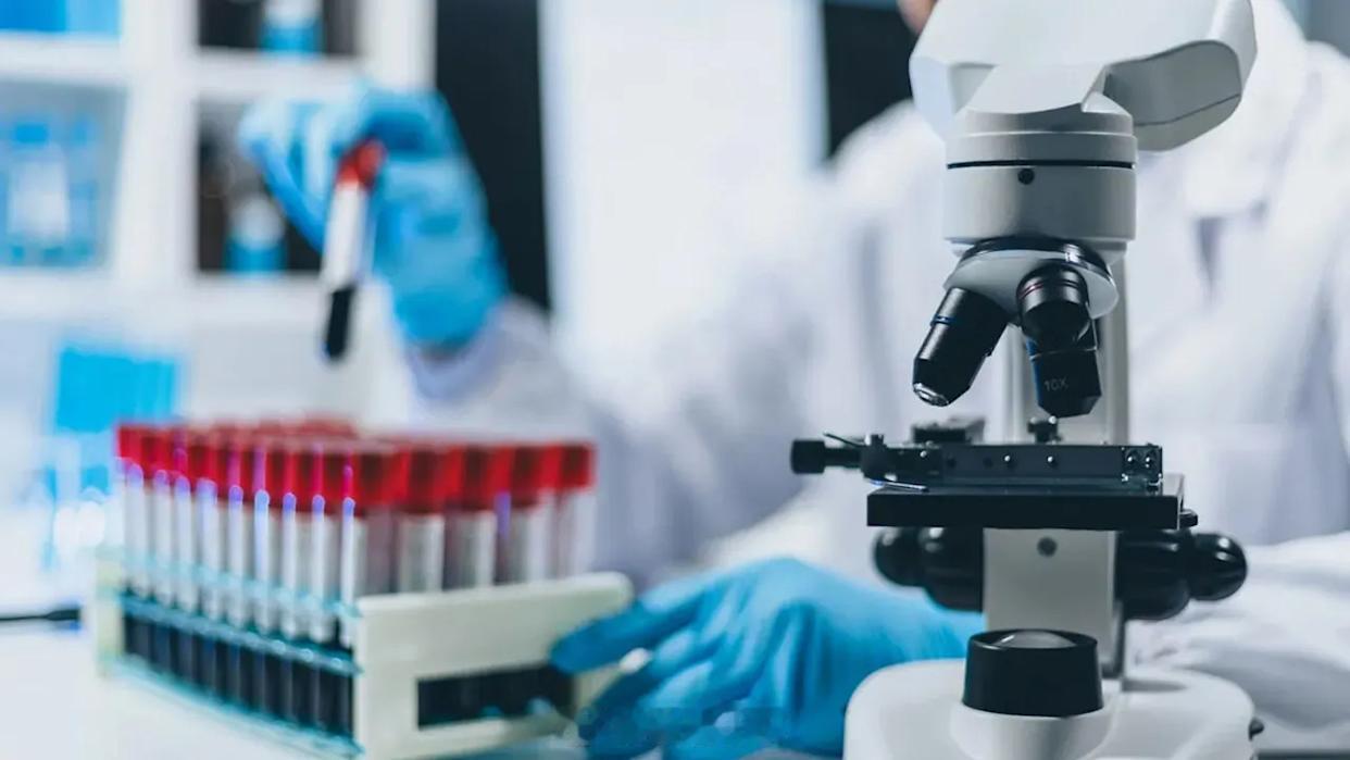 视黄酸(retinoicacid)可能会让某些免疫细胞对癌细胞的反应变弱维生