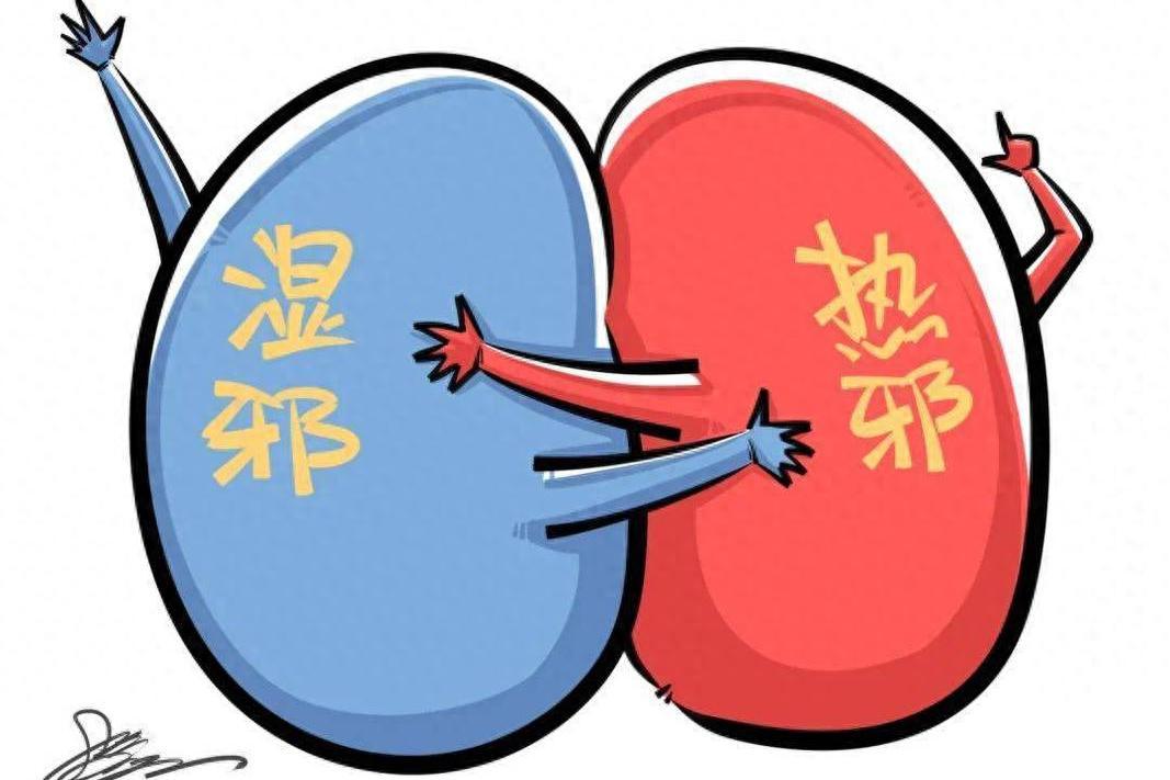 这4种药“最清湿热”！中医对症用，从头到脚排空一身湿气热毒！大家好，我是