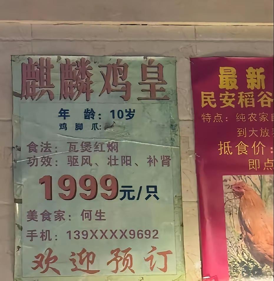 好家伙，我就想知道这是什么鸡[捂脸哭]