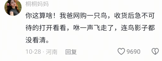 飞回去的是同一只鸟