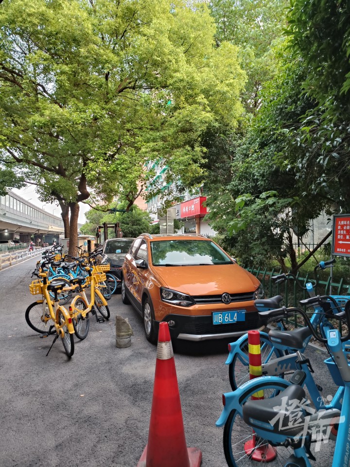 浙版集团边高架桥下违停终于整治好了, 多部门联合处理违停车辆