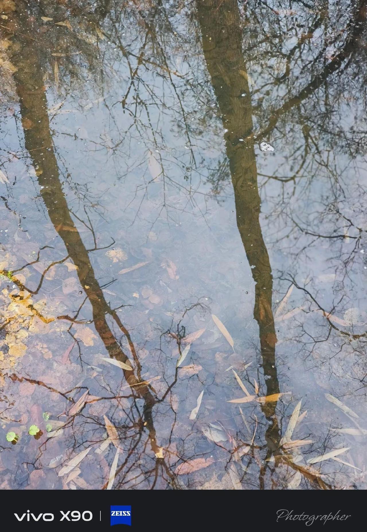 转眼来到山上己三十多年了，岁月给了我年龄，梦想如初