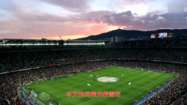 迟志强-四季流浪歌