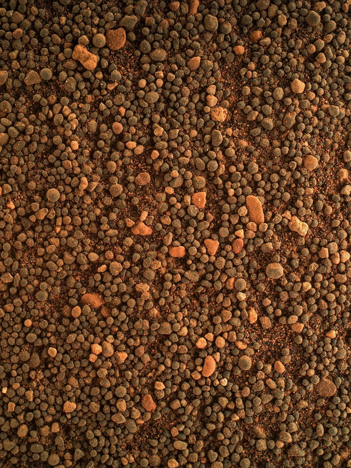 这是一张非常不协调的照片。只是一堆沙粒。但它们是火星上的沙粒。​​​