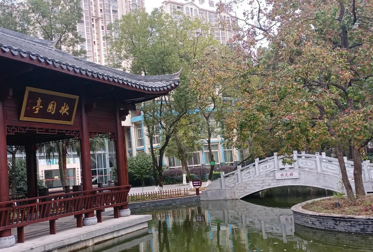 还有四天就要高考的儿子，昨天晚上回家，突然说，嗓子疼，咳嗽得厉害。头晕，浑身难受
