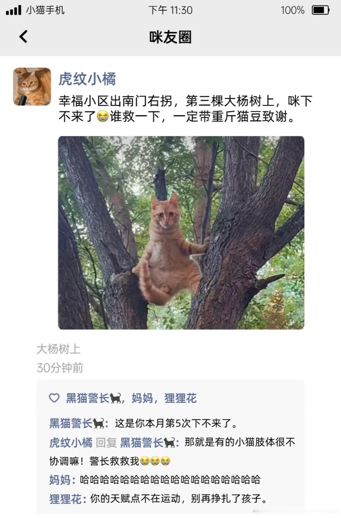 看看小猫朋友圈都发了什么​​​