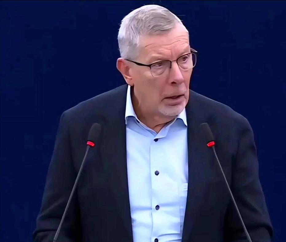 比利时籍欧洲议会议员鲁迪・肯内斯在欧洲议会的一句质问，让全场陷入沉默，“难道中国