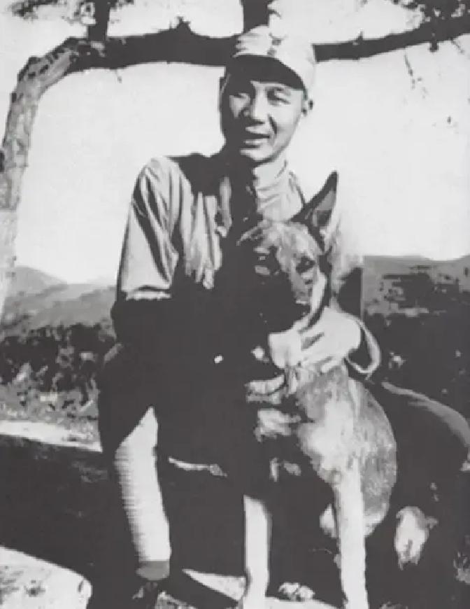 1939年秋，部队端鬼子炮楼，缴获了一头狼犬，杨成武挺喜欢，养在司令部里，结果参