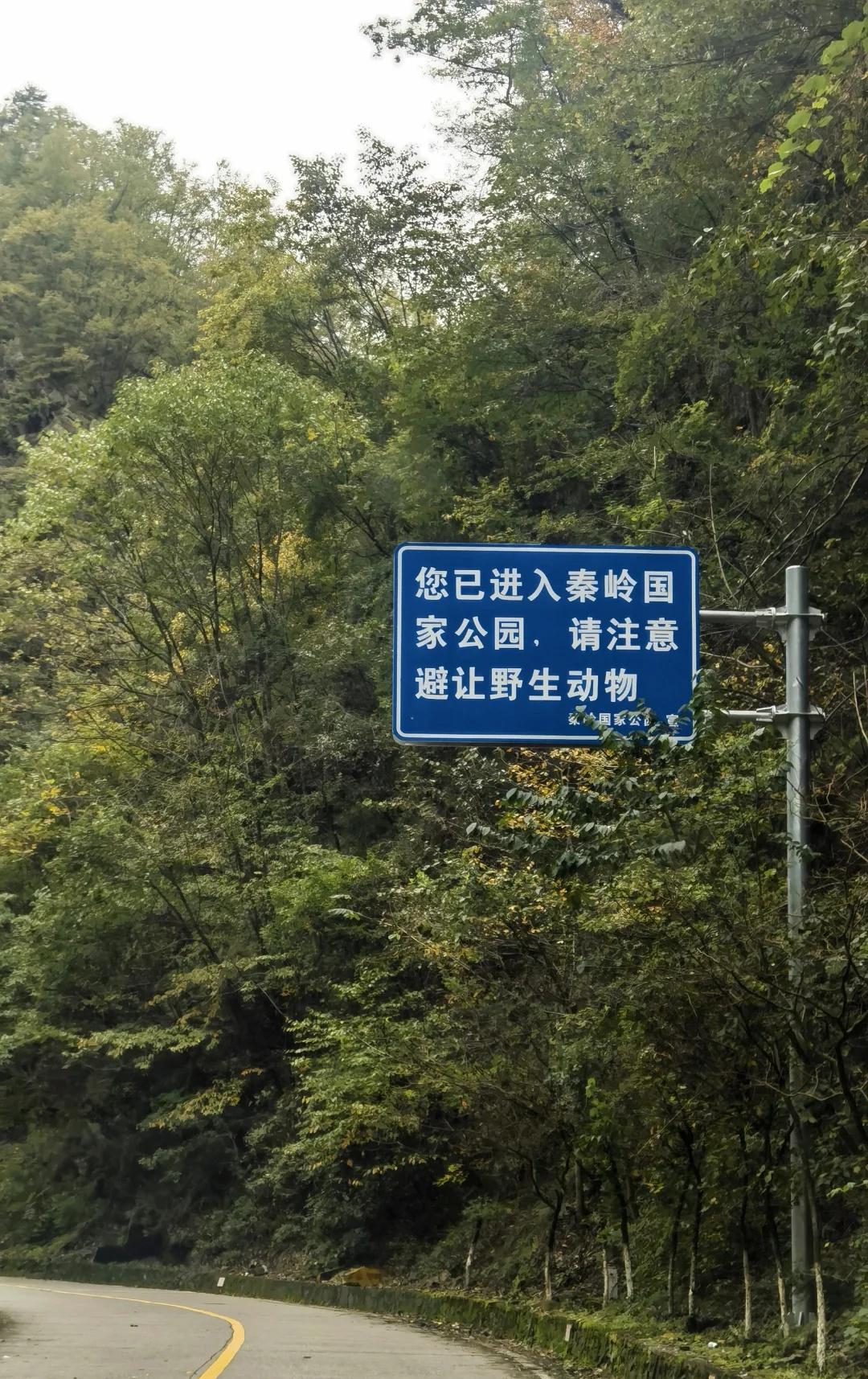 郑州自驾秦岭赏秋第四站—分水岭分水岭这个名字,很熟悉又很遥远!上学时地理课老师