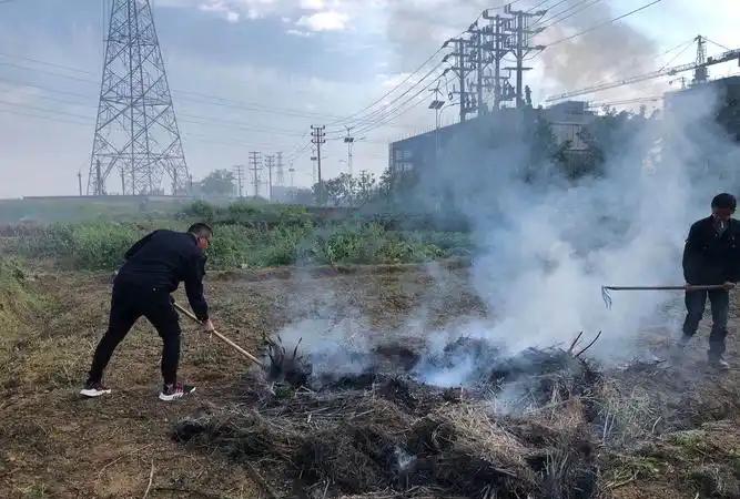 “离大谱！”河南固始，女子因患恶性肿瘤，在家养病，为了节省开支，便种了菜自给自足