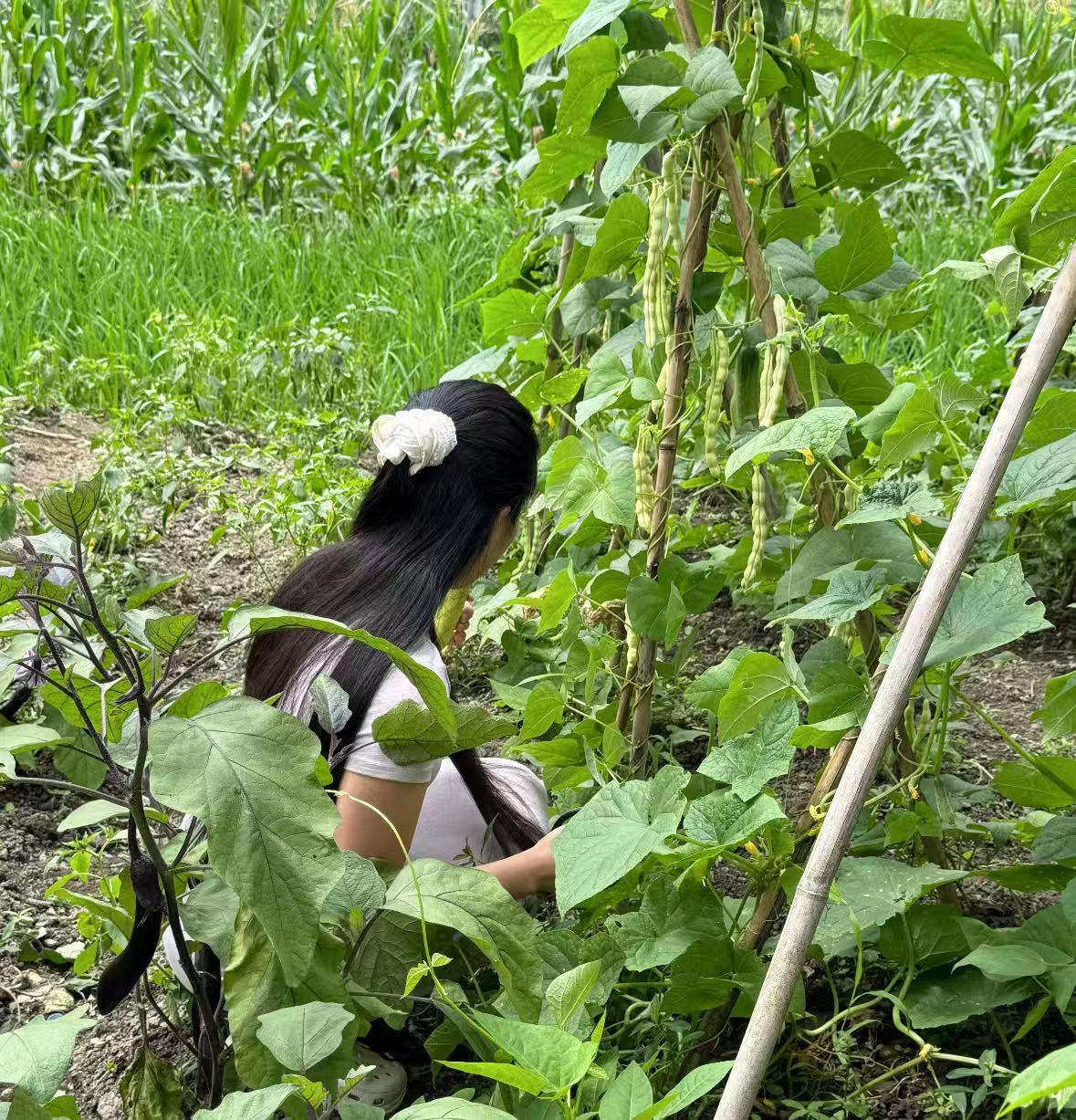 现在村里得糖尿病的不少。今天探病看见五个人。同住一间房都是农民。自家种的粮