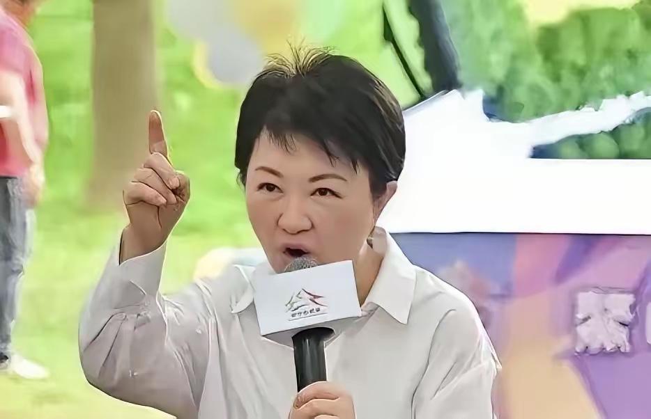 台中市长卢秀燕5月7日明确表态，建议军购预算应以8、9千亿元新台币规模优先通过，