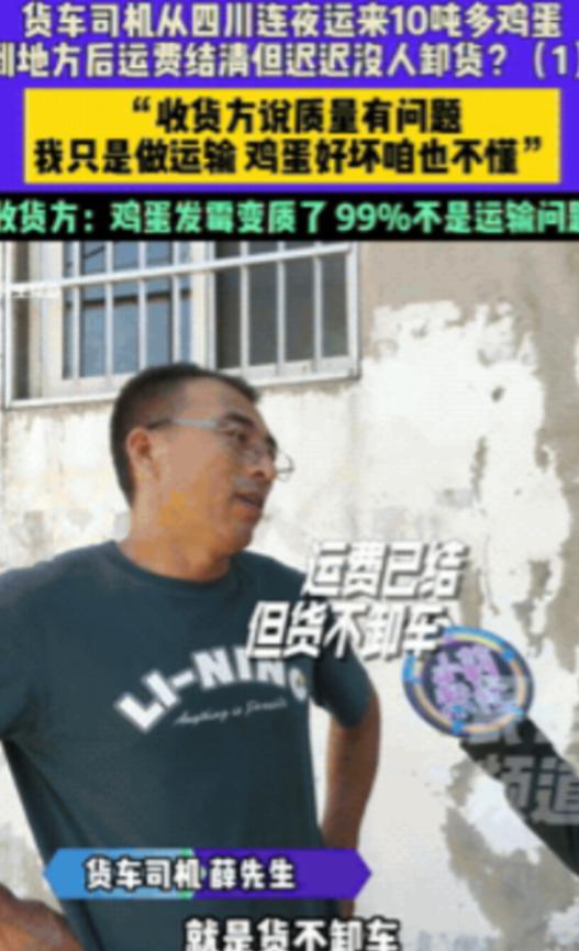 “想要甩锅？”河南郑州，一货车司机运了10吨鸡蛋，从四川运往河南，谁知抵达后，收