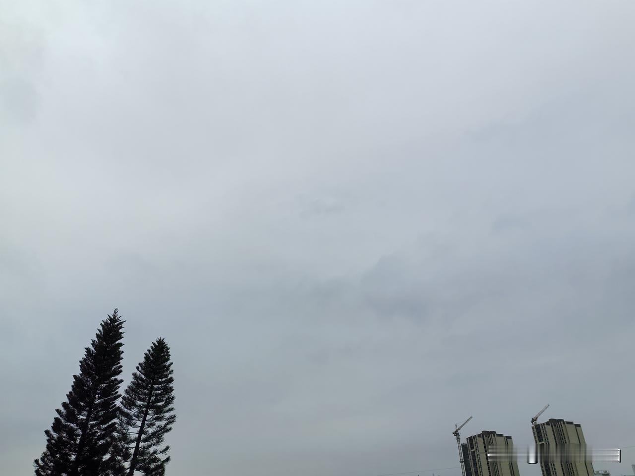 广东冷空气到货，气温骤降，明天早晨将迎来降温过程最低气温！受冷空气影响，今天