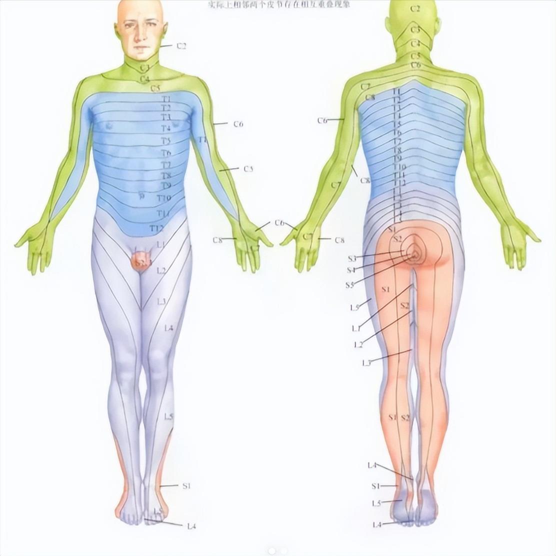 脊髓损伤肌肉“罢工”？到哪一级感觉都不一样0级：完全瘫痪肌肉就像断了电的机器