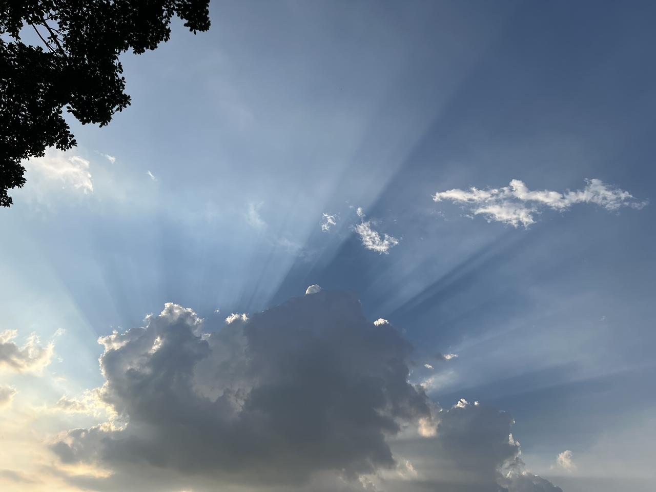 上班的一点感悟我是不太愿意去上班的，生活所迫，不得已要去上班，当然我们也可以