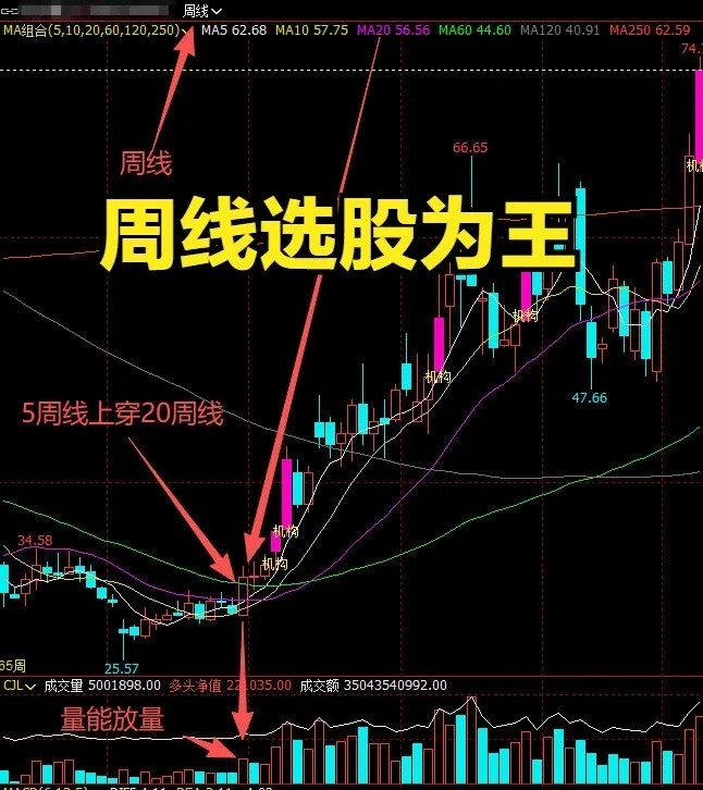周线出现这4个信号，就是主升浪起点！新手也能稳抓红利炒股最愁的就是踩坑、错过主升