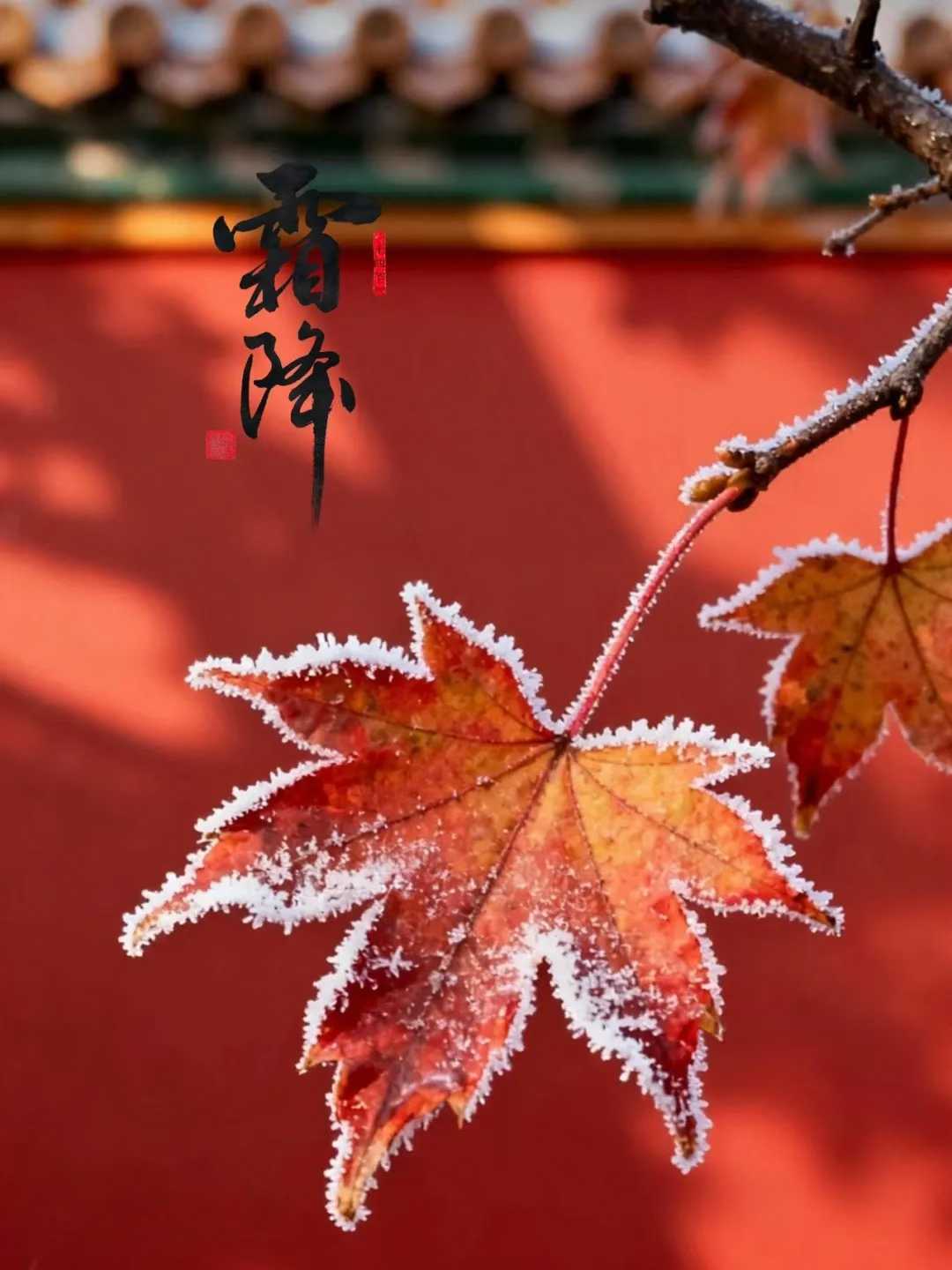 霜降，是二十四节气中的第十八个节气，也是秋季的最后一个节气。此时，万物进入收敛