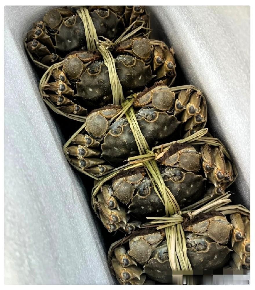 去舅舅家买大闸蟹，不好意思问价，拿了10只。称完说一只80，共800，一分不少。