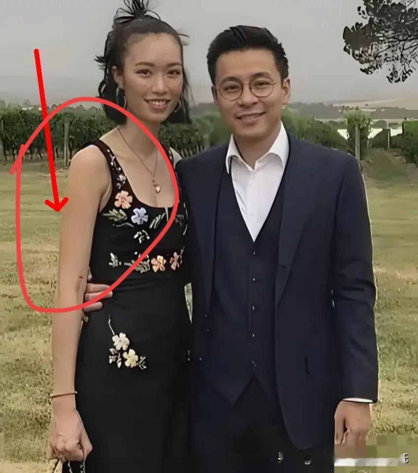 香·港的有钱人找媳妇，一般都看女人的实力，而不是单纯的看外貌，霍启仁的老婆南风，