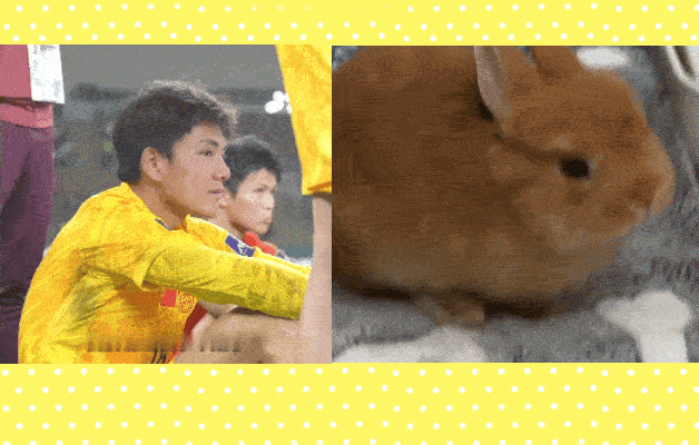 兔儿兔儿你别流泪呀