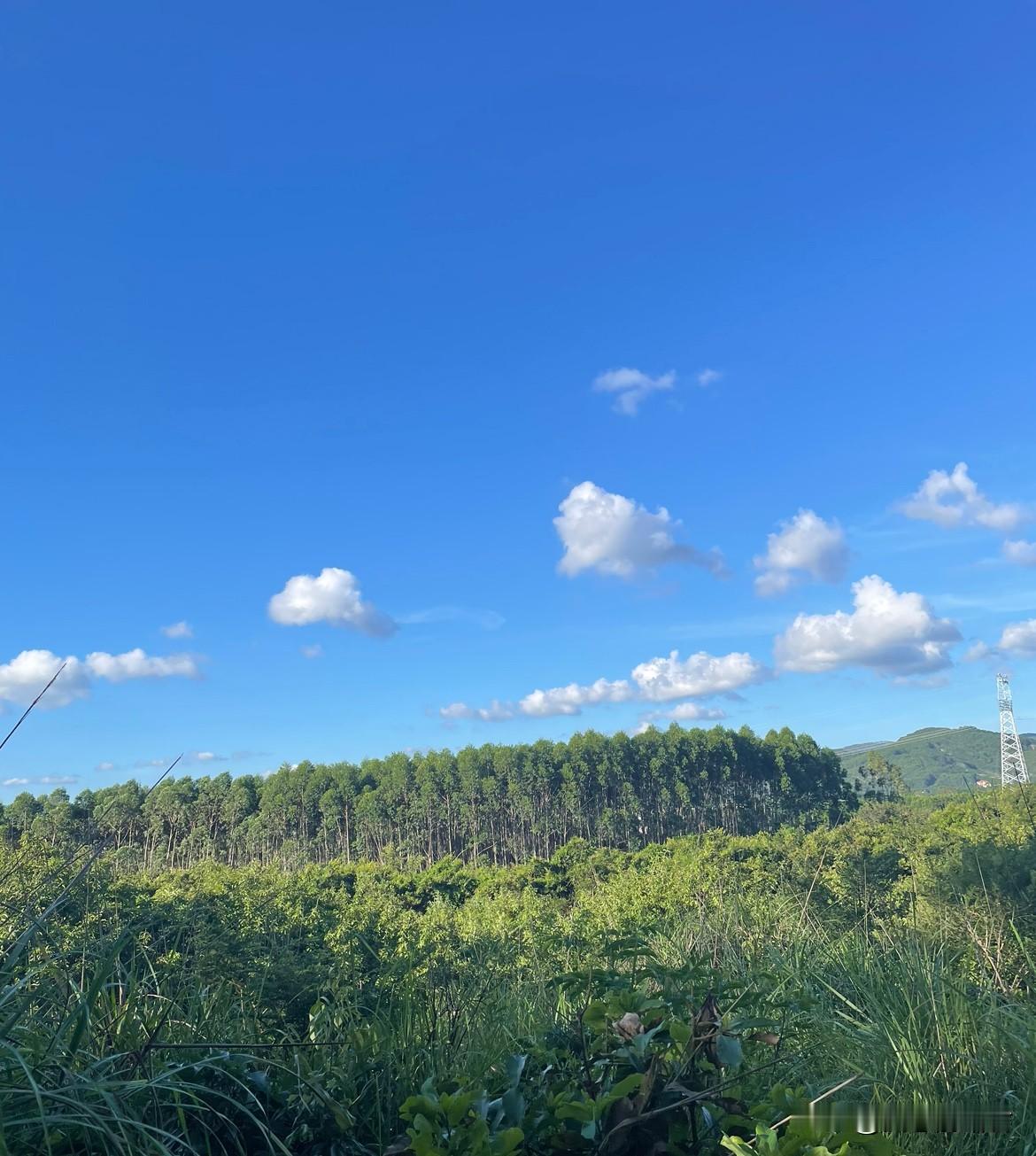 一个女人没有一个好的三观，只会让自己跌入深渊。一女子，和前男友谈了三年，前男友始