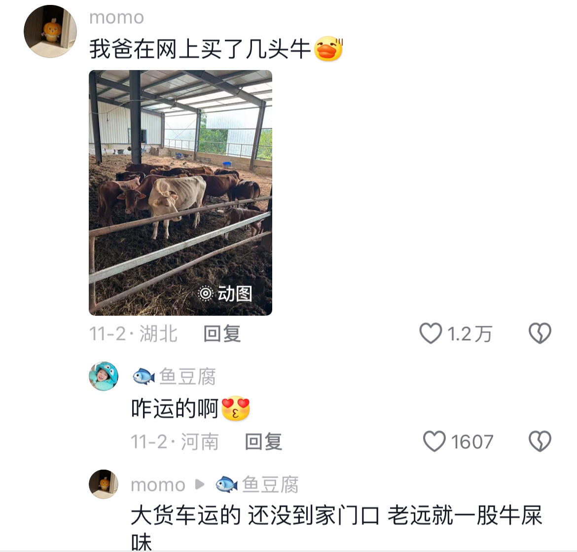 有什么是爸妈买不到的