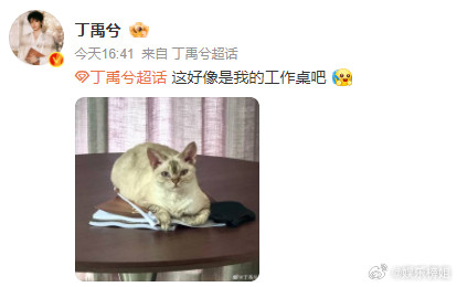 丁禹兮这好像是我的工作桌吧可爱的小猫咪是把丁禹兮的剧本垫猫身下了吗[大笑][哈哈