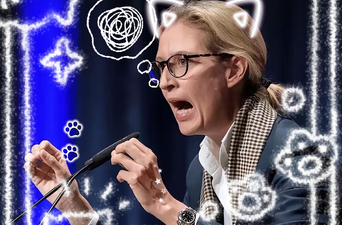 快讯!快讯欧盟委员会宣布了德国选择党共同主席魏德尔近日发表激烈言论,批评德国