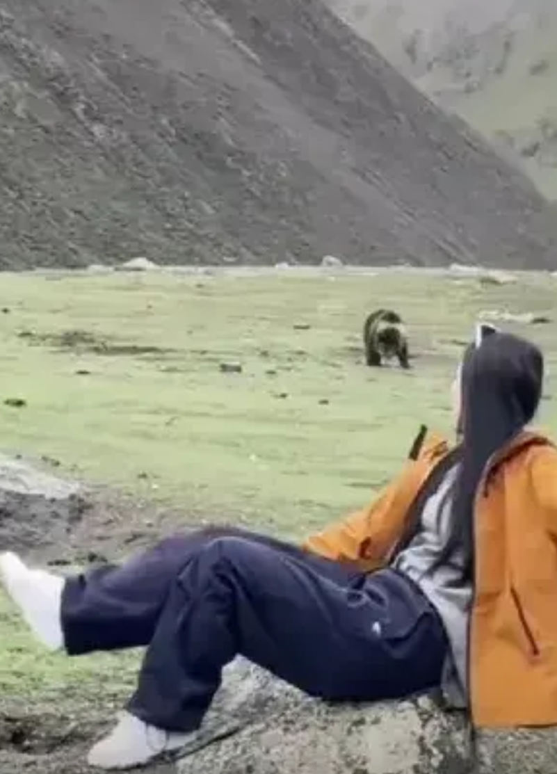 一名女子到西藏游玩遇见藏马熊，这名女子反而不害怕而是大胆摆出各种动作挑逗藏马熊，
