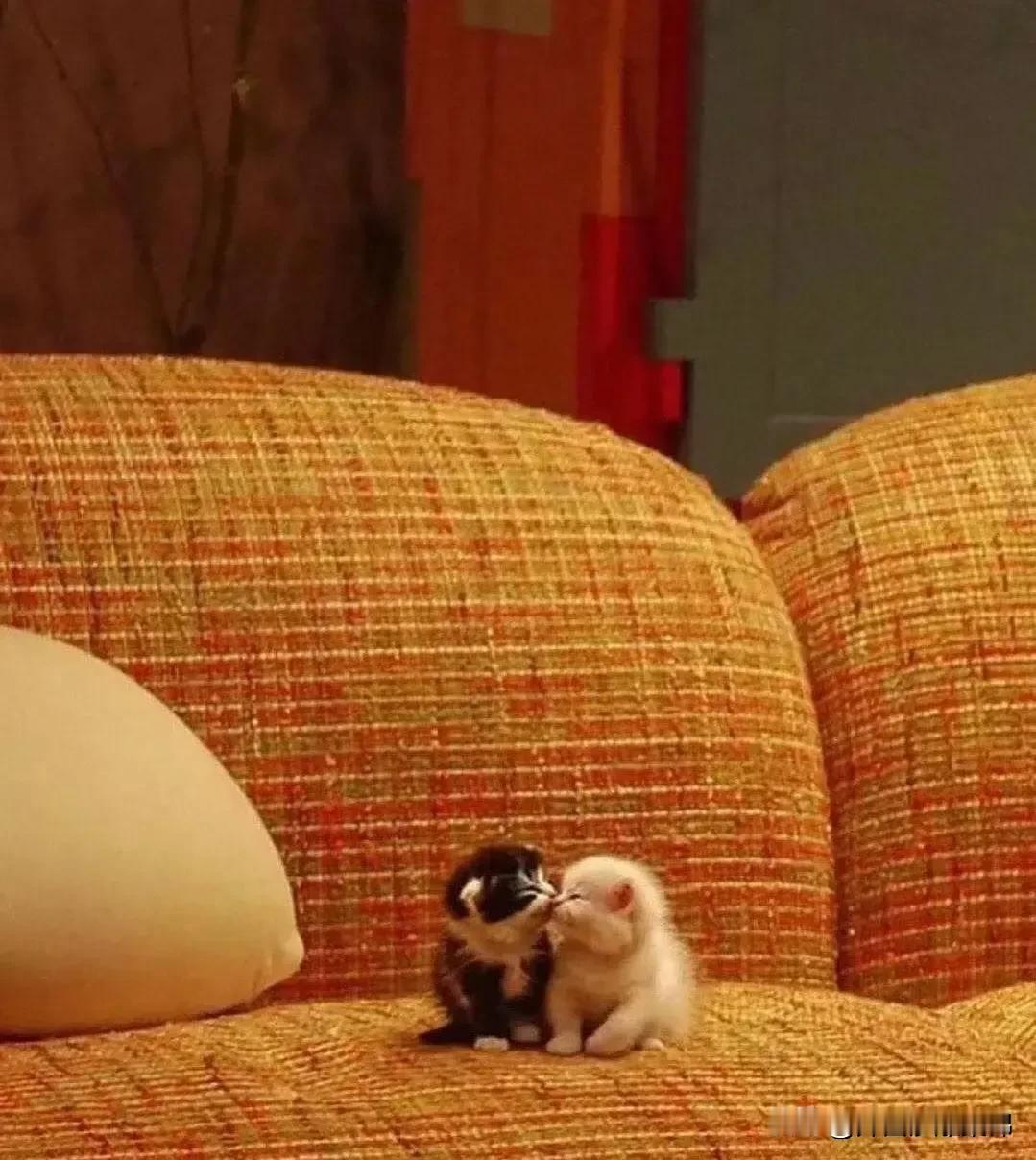 青梅竹马两小无猜