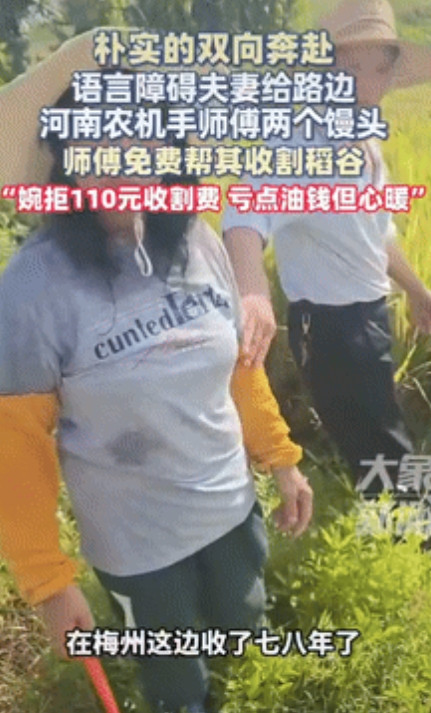 刻在骨子里的善良！”河南一农机手到广东收割稻谷，一患有语言障碍的夫妻看他挺辛苦，