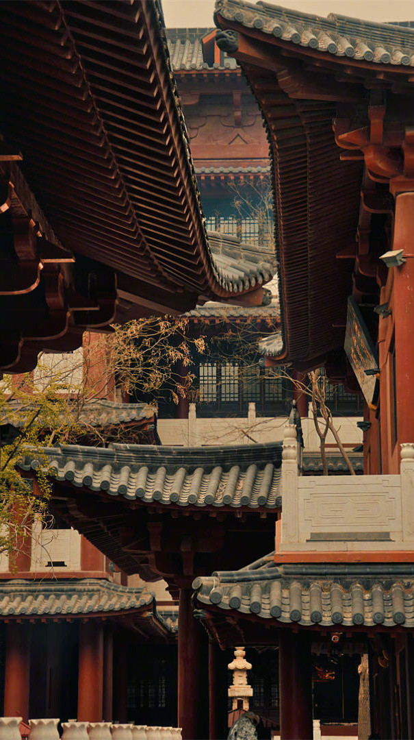 人无完人，金无赤金，不虚伪就是最好的慈悲；不做作就是很好的修为。学会感恩，