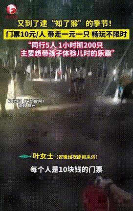 “聪明人干啥都赚钱！”江苏，一家养殖“知了猴”基地，老板竟然以10元一人的门票，