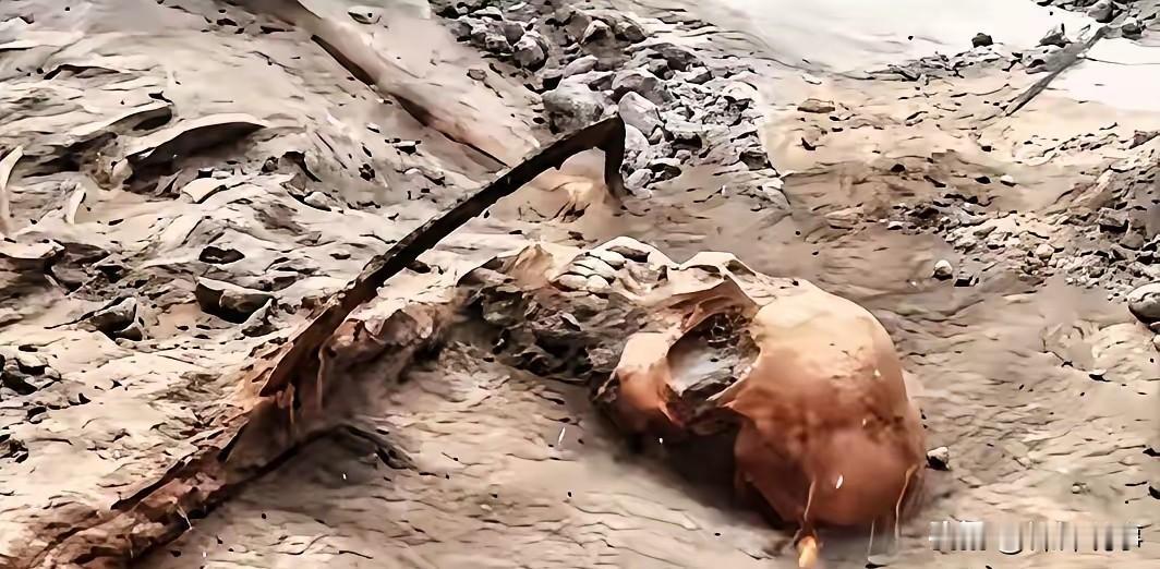 这下好了，黄土之下83年的沉默被打破了！河南舞钢挖出来的可不是普通泥土，里头