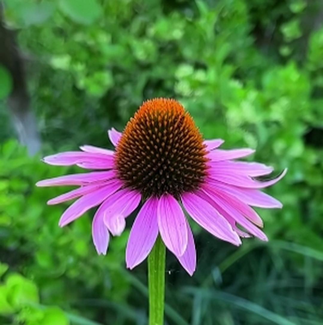 想要活得久，一定要管住嘴：1、猪头肉，打死不吃。2、炒粉，尽量少碰。3、油