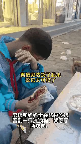何女士带着儿子在路边吃饭时，一只瘦弱的流浪狗靠近讨食。男孩见状心生不忍，递出两块