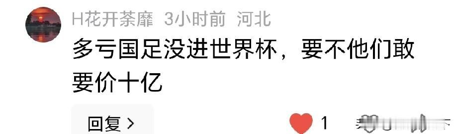 有网友说，多亏我们国足没进世界杯，要不他们敢要十亿（美元）。这个说的有点夸张，