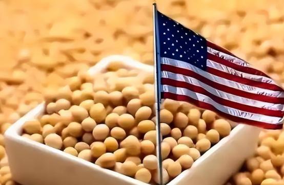 中国大豆说停就停了？25船巴西大豆正在海上漂着，目的地是中国。与此同时，俄罗斯防