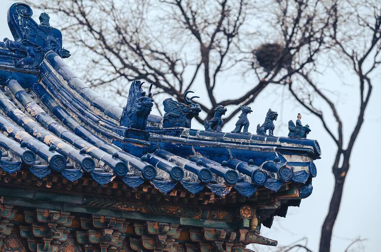 ✨中国哪有人真的想躺平呢？✨🐼把中国的就业问题甩锅给外国敌对势力，这不是