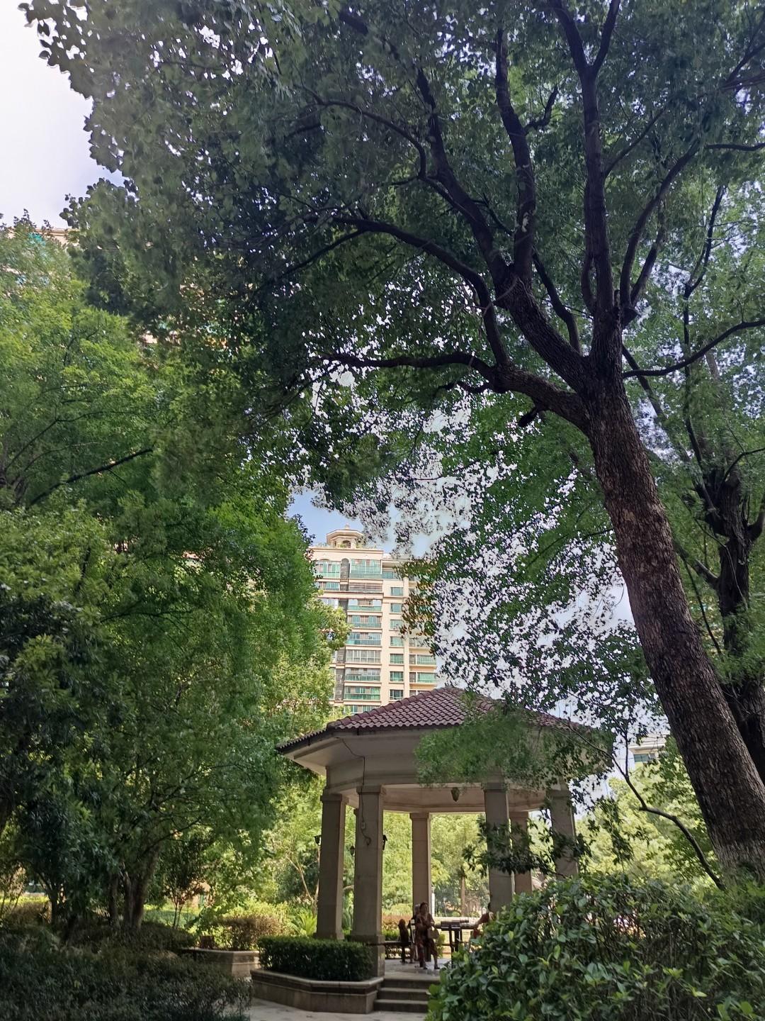 女儿孝不孝顺父母跟远近也有关系，我和女儿住在一个城市，过节女儿一家会提着礼品来看